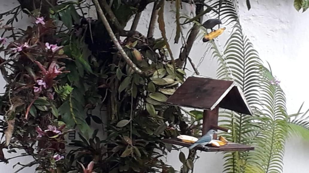 Suites Beija-Flor Araquari Eksteriør bilde