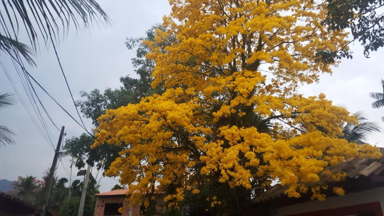 Suites Beija-Flor Araquari Eksteriør bilde